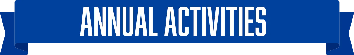 Annual activities